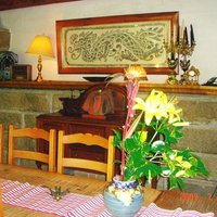 旅館 くらしき - このテーブルから眺める庭が最高です