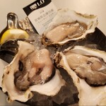 8TH SEA OYSTER Bar - 