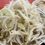 ラーメン もっけだの - 『朝食セット(ラーメン)+あぶら飯』の『ハーフラーメンニンニク野菜マシマシ』の野菜