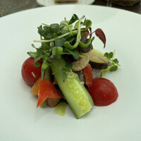 TRATTORIA CREATTA - 