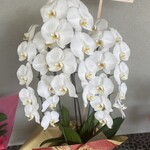 とんかつ とん米 - 2023年8月6日グランドオープン（2023年8月12日撮影）