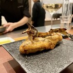 イル アオヤマ - 