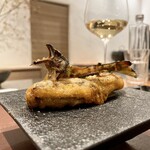 イル アオヤマ - 