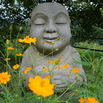 天空カフェ Zeal - 