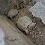 天空カフェ Zeal - 