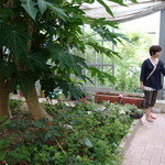 天空カフェ Zeal - 