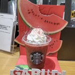 STARBUCKS COFFEE - 連れの