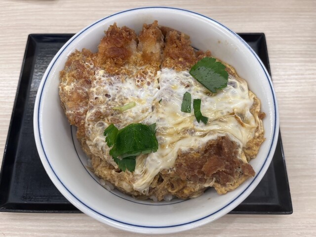 Katsuya Higashikurume Ten