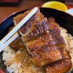 Sumiyaki Unagi Kawafuji - 