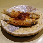 本間勝維 - 