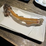 小川の魚 - 