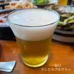 NIHONBASHI BREWERY. T.S - 