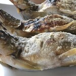 粟野町観光やな - 