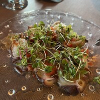 スミレオオサカ - 