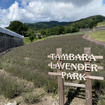 Tambara Lavender Park - 
