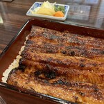 うなぎ 魚政 - 