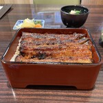 うなぎ 魚政 - 浜名湖の天然物！