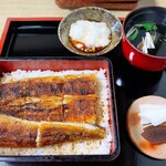 活魚料理　うおじま - うな重（並）