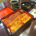 うなぎ 魚政 - ブランド鰻(坂東太郎)