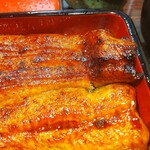 うなぎ 魚政 - ブランド鰻(坂東太郎)