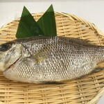 Kitamae Sengyo Yosoro - 五島直送天然熟成鮮魚
      夏1番美味しいメイチ鯛