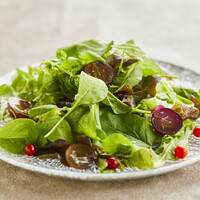 旬のフルーツの冷製サラダ