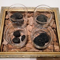 Terres de Truffes, Tokyo - 