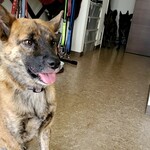 ビアカフェ 雪・だるま - 