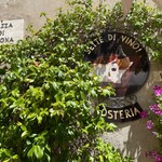 Sette Di Vino - 