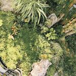 ヨコクラうどん - 