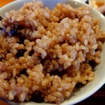 栄夏 - 酵素玄米