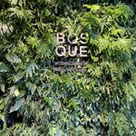 BOSQUE - 