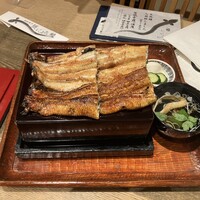 にょろ助 銀座 - 