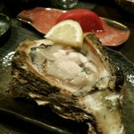 Shukoushusai Masutake - 宮城の生牡蠣 （お客様提供画像）