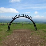 旅とPizzaとお宿 咲色 - 