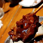 Toriemon - この肉肉しさ、食感、カレーの辛味と味の深み…