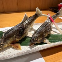 柳家錦 - 