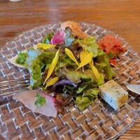 フィーコディンディア - 