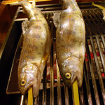 黒茶屋 - あゆも自分でやきます