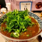 Kitashinchi Udon Yabuya - 