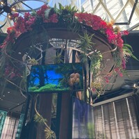 リュクス ダイニング ハプナ - 