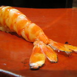 日本橋橘町　都寿司 - 車海老握り