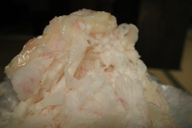 マツバエン（MATSUBAEN） - やながわ希望の森公園前（かき氷）の写真