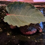 Japanese cuisine Kasuke