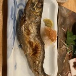 夜ノ焼魚 ちょーちょむすび - 