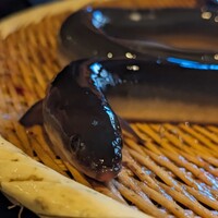 炭焼鰻 寝床 福島店 - 