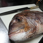 KAPPO　花咲季 - まな板に収まりきらない大きな魚も和食を飾るには欠かせない食材。