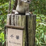 おにぎりと野菜のレストラン PREMIUM千華 - 