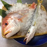 Momojirou - 鮮度にこだわった小浜直送の魚を毎日仕入れてます☆