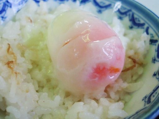 旅館やまと - 美術館図書館前（旅館・民宿）の写真
